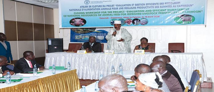 Improvement of Livestock Productivity: Gov’t, Partners Reach Milestone