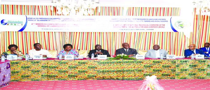 Agriculture: All Set For Collection Of Agro-pastoral Data