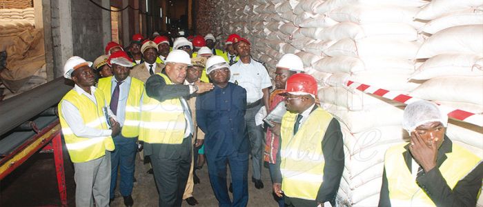 Sosucam: 52 000 t de sucre bel et bien disponibles 