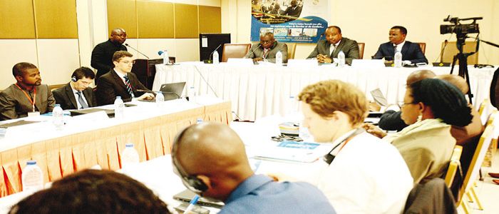 Economic Planning: UN Recommends Improved Modelling