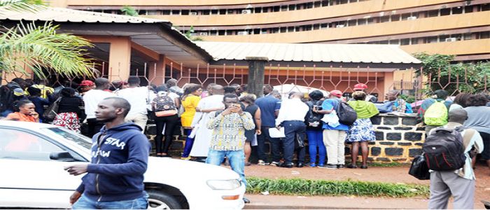 Emploi: gare aux fausses offres 