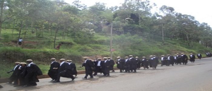 Bamenda: Common Law Lawyers Take To The Streets 