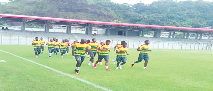 Eliminatoires coupe du monde 2018: décisif Cameroun - Zambie