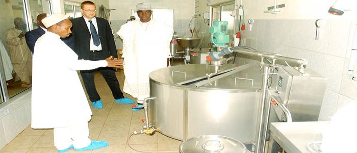 Amélioration de la productivité agricole: la Success  Story