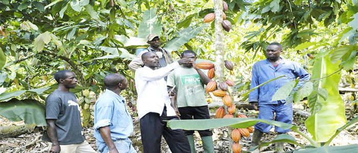 Budget 2017de l'Etat: de nouvelles sources de recettes