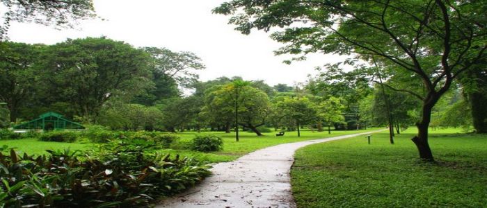 Limbe Botanic Garden: Any Tourist’s Dream Destination 