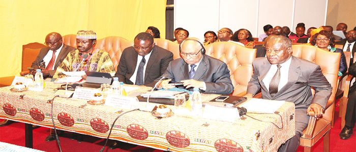 Senate Enters High Gear Senate Enters High Gear