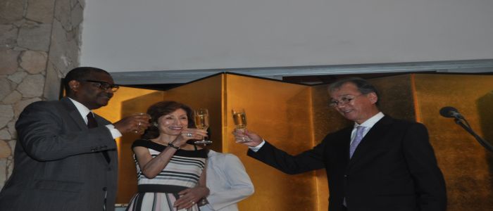 Terrorism: Japan Pledges Continuous Financial Support To Cameroon 