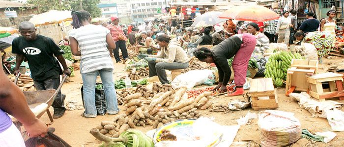 Tax Collection: Access Problems, Demolitions Affect Revenue Tax Collection: Access Problems, Demolitions Affect Revenue