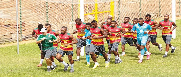 Dans la tanière : les 23 de Broos