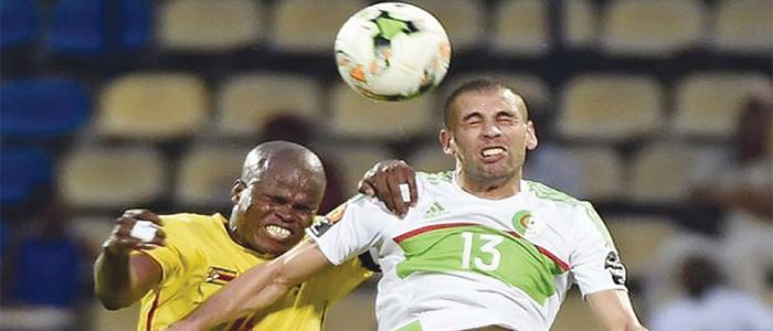 Zimbabwe-Algérie : les Fennecs bousculés