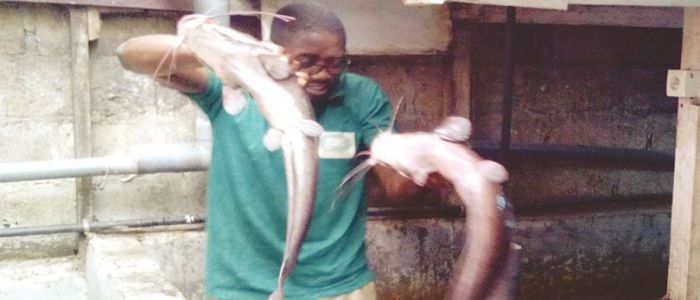 Pêche: l’aquaculture commerciale progresse