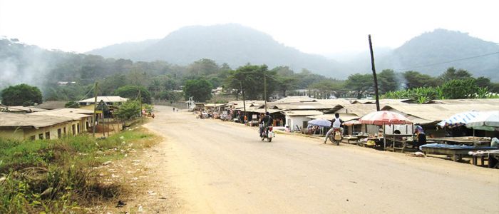 Nguti: Awaiting Kumba-Mamfe Road