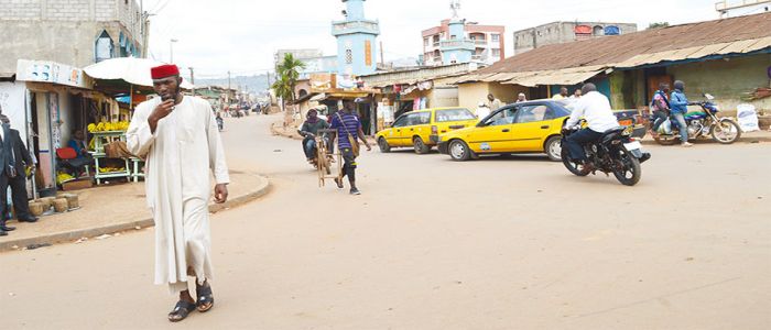 Briqueterie Yaounde: Harmonious Multicultural Destination