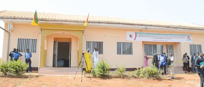 Création d’entreprises: l'Adamaoua tient son centre Création d’entreprises: l'Adamaoua tient son centre