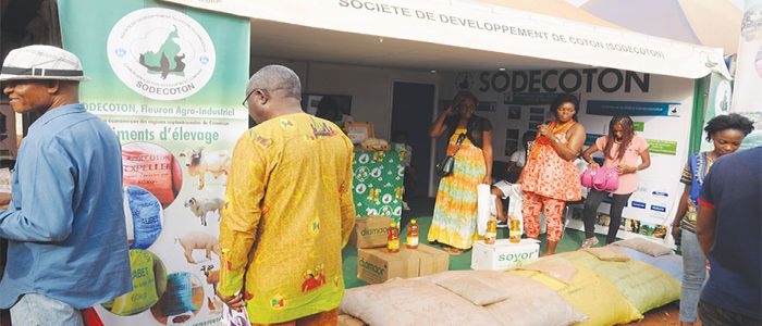 Agro-alimentaire: récolte de partenariats commerciaux