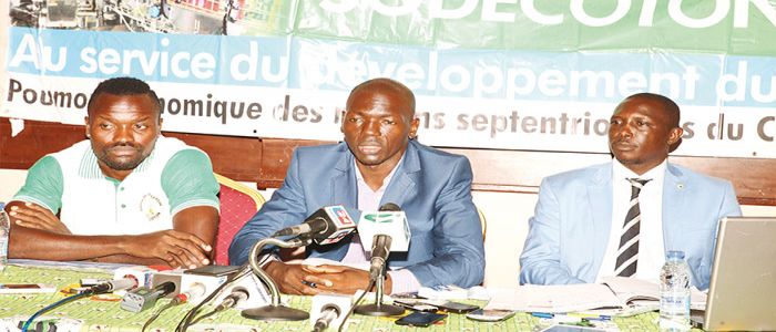Coton Sport prend ses quartiers à Yaoundé Coton Sport prend ses quartiers à Yaoundé