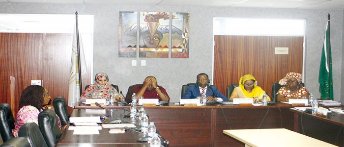 Parlement panafricain: session extraordinaire à Midrand Parlement panafricain: session extraordinaire à Midrand