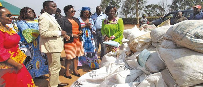 3800 sacs d’engrais distribués à Bandjoun