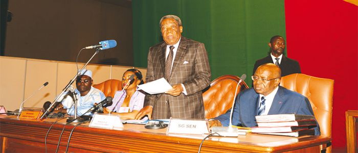 Sénat: Niat Njifenji réélu