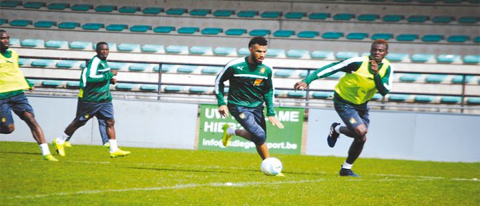 Lions indomptables: premier test après le titre 