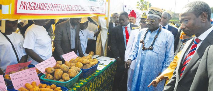 Métiers agro-pastoraux: les sillons de l'émergence Métiers agro-pastoraux: les sillons de l'émergence
