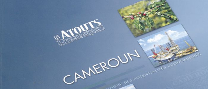 Economie: les atouts du Cameroun
