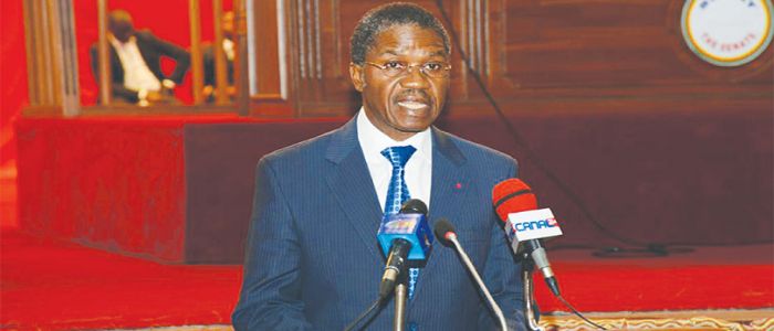 Distribution of Pharmaceutical Products: Public Health Minister Clarifies Senators Distribution of Pharmaceutical Products: Public Health Minister Clarifies Senators