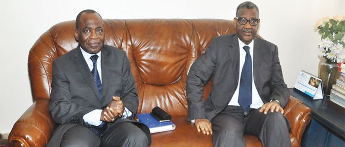 Lutte contre la mortalité maternelle et la poliomyélite:l’OMS soutient le Cameroun 