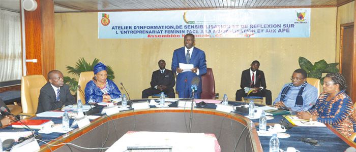 Entreprenariat féminin et normes: l’Assemblée nationale poursuit la sensibilisation