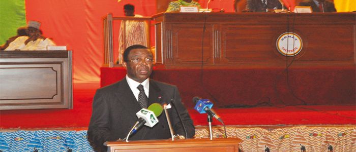 Camair-Co: le plan de relance présenté aux sénateurs