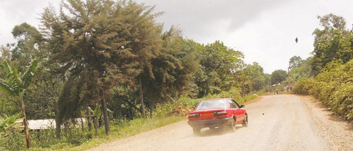 Développement des transports:la BIRD débloque 113 milliards de F 