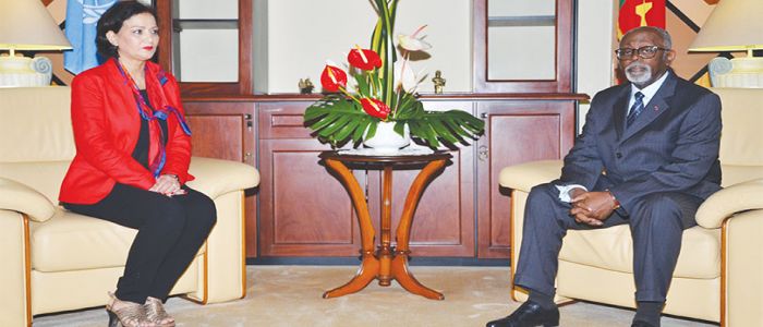 Stabilisation en RCA: l’ONU félicite le Cameroun 