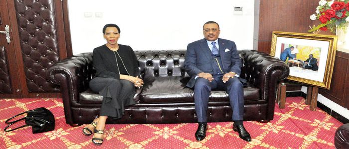 Cooperation: South Africa To Invest in Cameroon Energy Sector