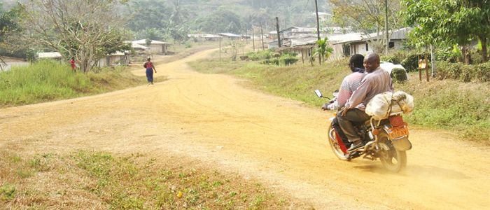 Toko: Emerging Economic Jewel