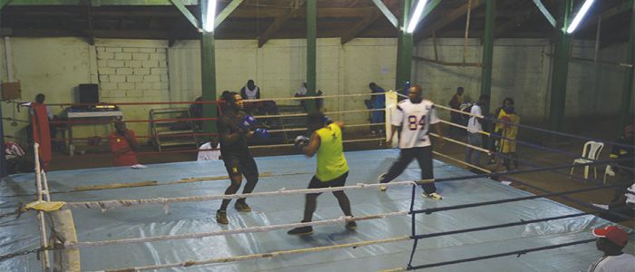 Boxers Fine-tune Skills