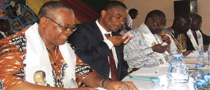 RDPC Haut-Nyong: la décentralisation en débat RDPC Haut-Nyong: la décentralisation en débat