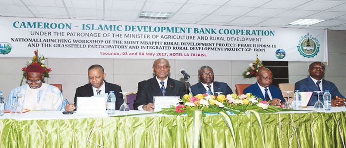 Développement agricole: un nouveau financement de 45 milliards Développement agricole: un nouveau financement de 45 milliards