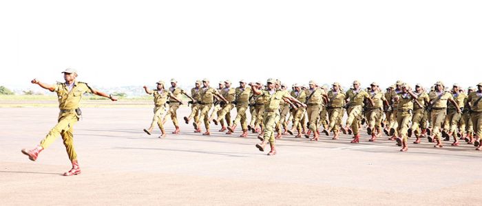 Presidential Guard: Time For Final Touches