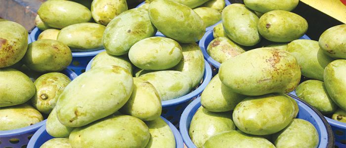 Secteur horticole: des filons pour les petits 