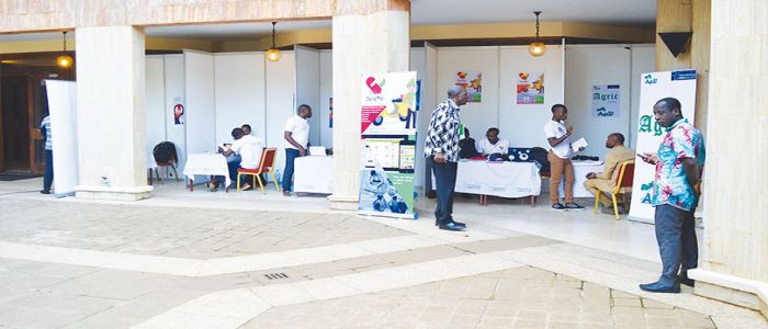 Start-ups: la grande effervescence