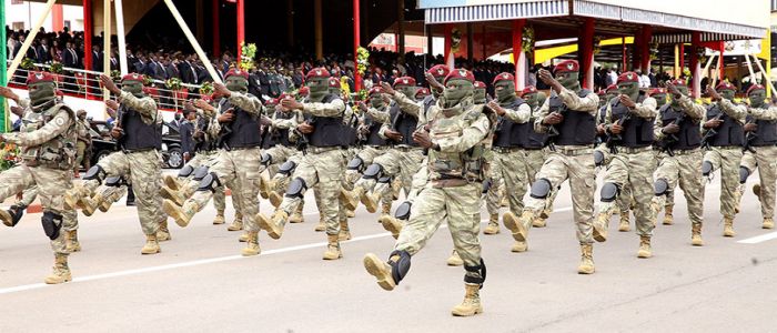 Armée et nation : des liens féconds 