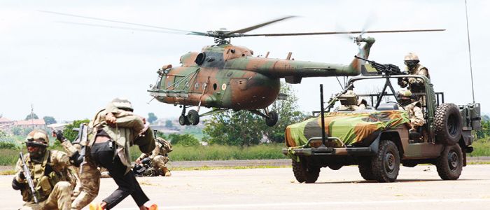 Show interarmées: synergie victorieuse contre le terrorisme 