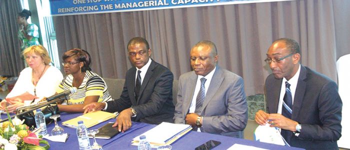 15,219 Enterprises Created between 2010-2016 15,219 Enterprises Created between 2010-2016