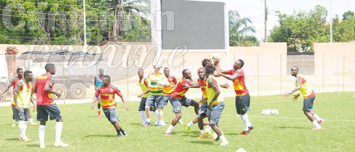 Eliminatoires CAN 2019: les Lions au travail