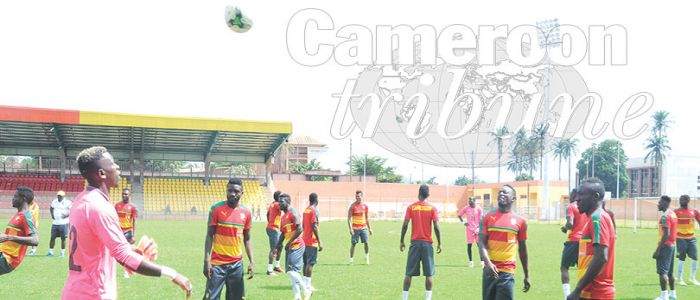 Lions indomptables: Union de Douala en sparring-partner