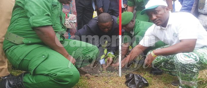 Reforestation: 5 000 Trees To Be Planted