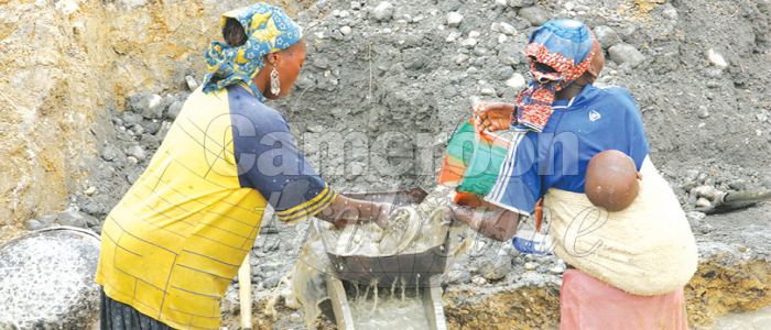 Cadastre minier: l’informatisation se précise Cadastre minier: l’informatisation se précise
