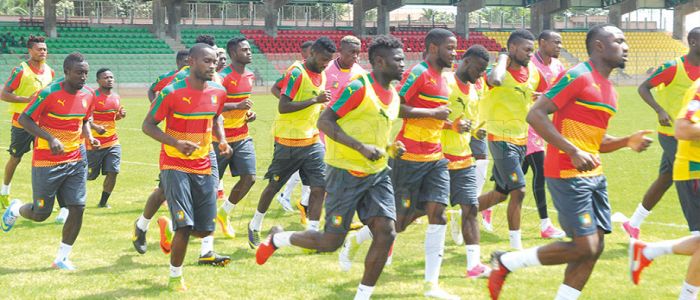 2019 AFCON Qualifiers: Lions Sharpen Claws