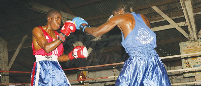 Mboa Boxing Night Fight: Uppercuts attendus dimanche